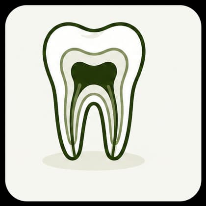 Tratamento de Endodontia